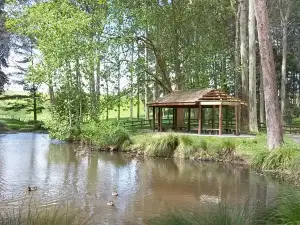 Taitua Arboretum