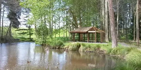 Taitua Arboretum
