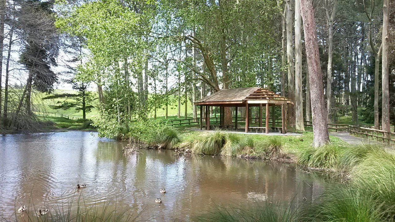 Taitua Arboretum