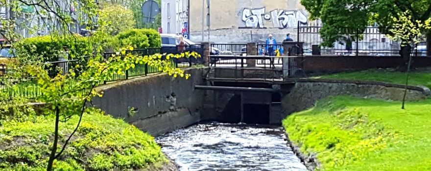 Gorzów Wielkopolski