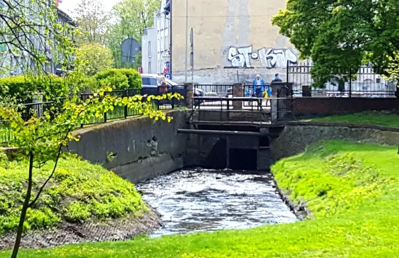 大波蘭地區戈茹夫