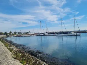 Mondego River