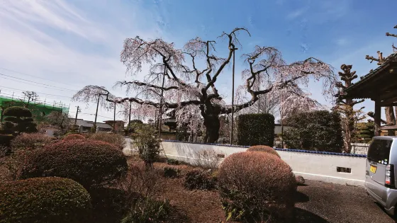 広琳寺