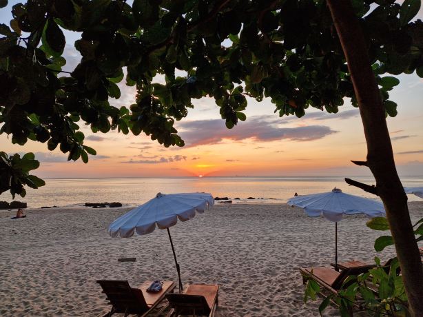 Bamboo Beach