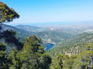 Agros safari