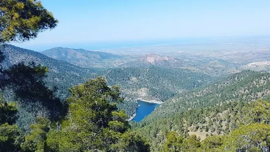 Agros safari