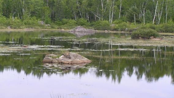Moosehorn National Wildlife Refuge