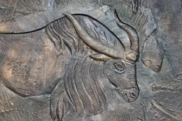 Museum of Dakrhan-Uul
