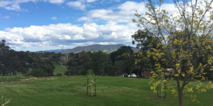 Badger Creek Blueberry Farm