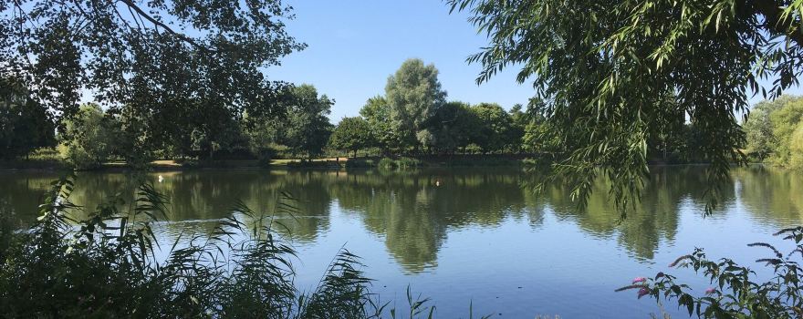 Needham Lake
