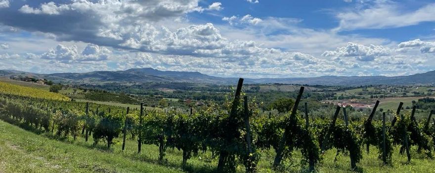 Cantine Ruggiero