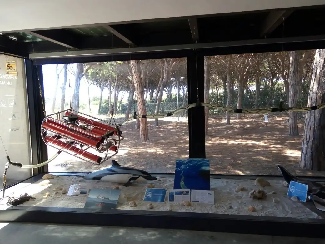 Hotels in der Nähe von Fundació per a la Conservació i Recuperació dAnimals Marins (CRAM)
