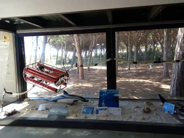 Hotels near CRAM Fundacion Para La Conservacion y Recuperacion de Animales Marinos