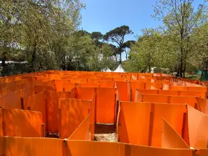 Swings Camp