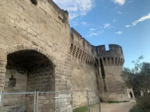 Stadtmauer von Avignon