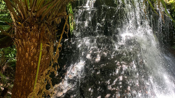 Tasmanian Mountain Bike Adventures