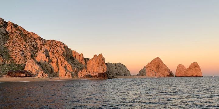 Los Cabos Whale Watching
