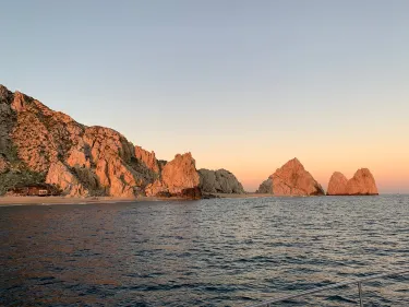 Los Cabos Whale Watching