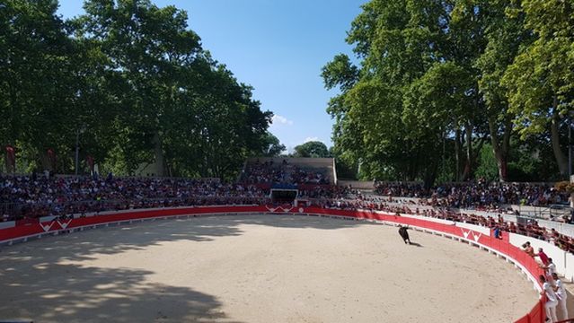 Arenes de Beaucaire