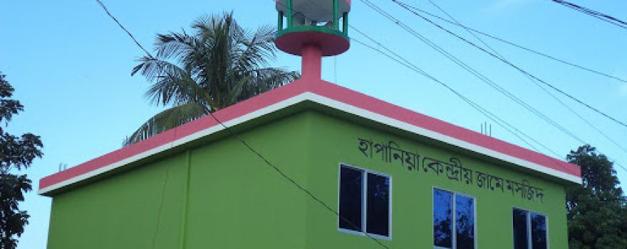Hapania Jame Moshjid