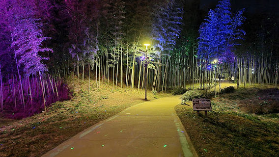 Seomjingang Bamboo Forest Trail