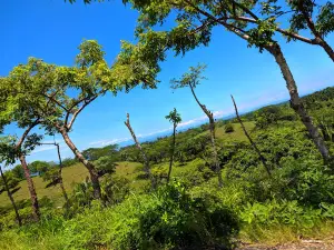 San Bartolo Park
