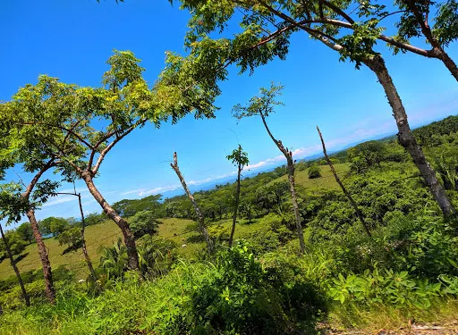 聖胡安包蒂斯塔－圖斯特佩克