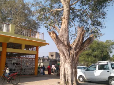 Shri Fakirji Maharaj Sansthan, Dhanaj Manikwada