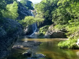 Talasì