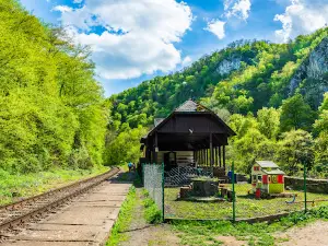 Defileul Crișului Repede