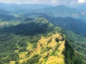 TAPOLA MINI KASHMIR