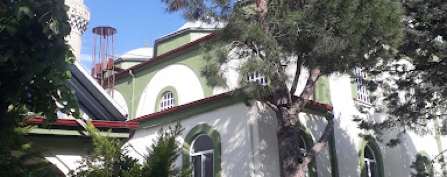 Cihat Cami