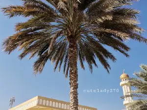 Sultan Qaboos Mosqe