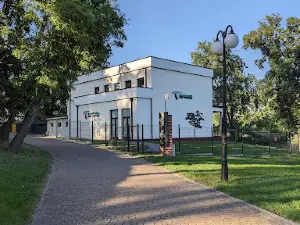 Nadgoplański Park Tysiąclecia