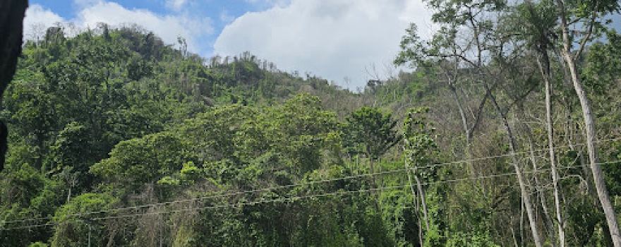 GUAMITA