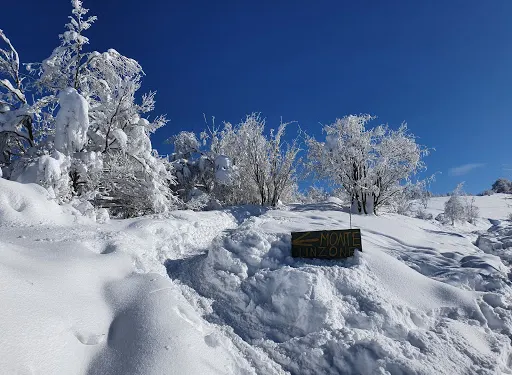 科斯塔瓦萊伊馬尼亞