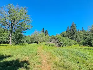 Harriman Point Preserve