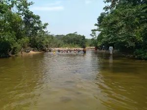 La Jungla - Villa Tunari Park