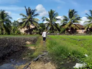Desa Wisata Pulau Semambu