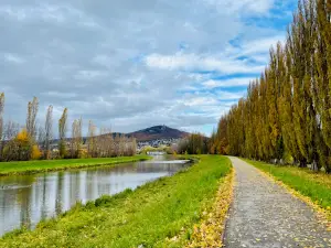 Sihoť