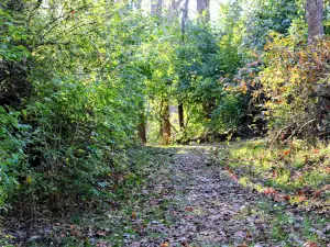 Grant County Park