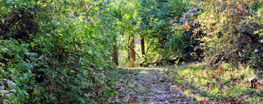 Grant County Park