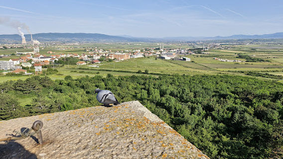 Pristina