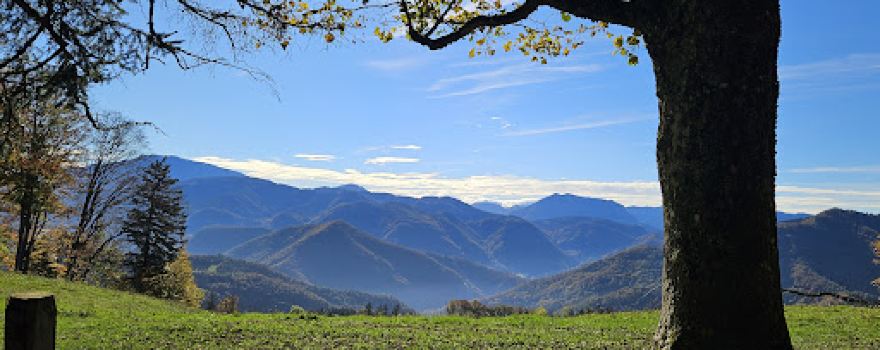 Wanderrast Hochschlag