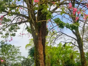 La Llanura Park
