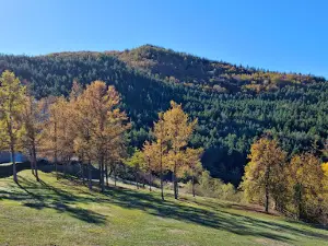 Finca Ribavellosa