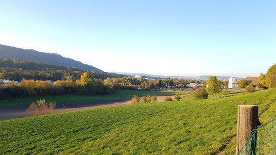 Familiengartenverein Zürich-Süd – Moos