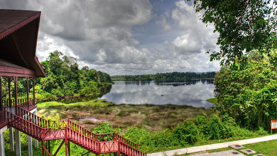 Taman Warisan Tasek Merimbun