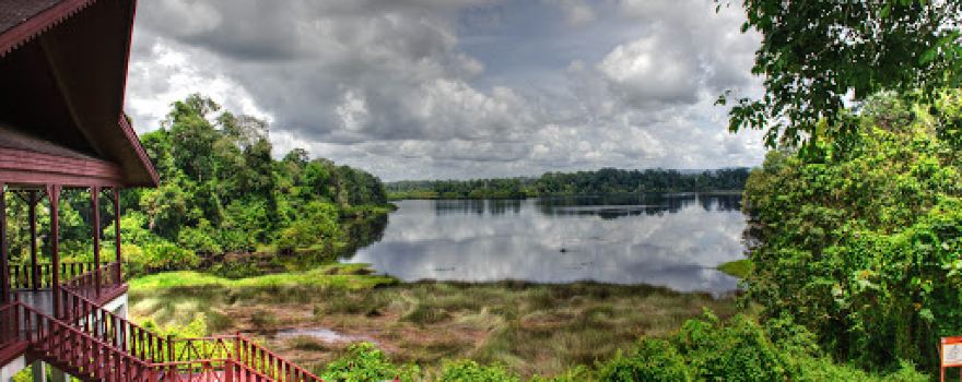 Taman Warisan Tasek Merimbun