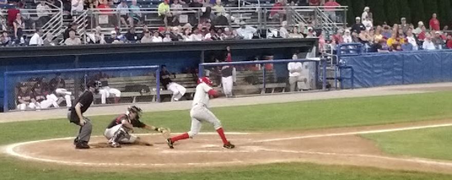 Batavia Muckdogs